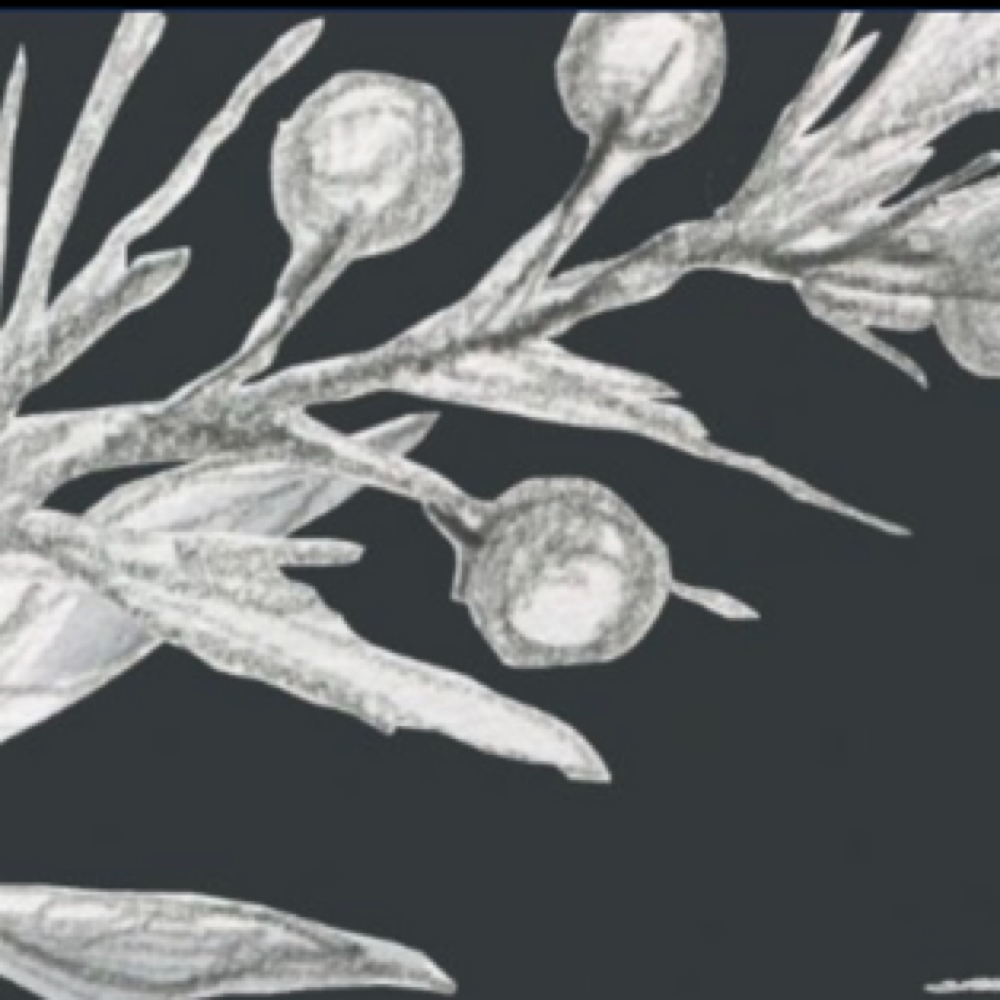 Microcurrent Add On at Skin Nirvana in Greeneville, TN