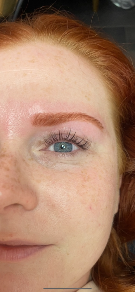 Brow Wax + Tint