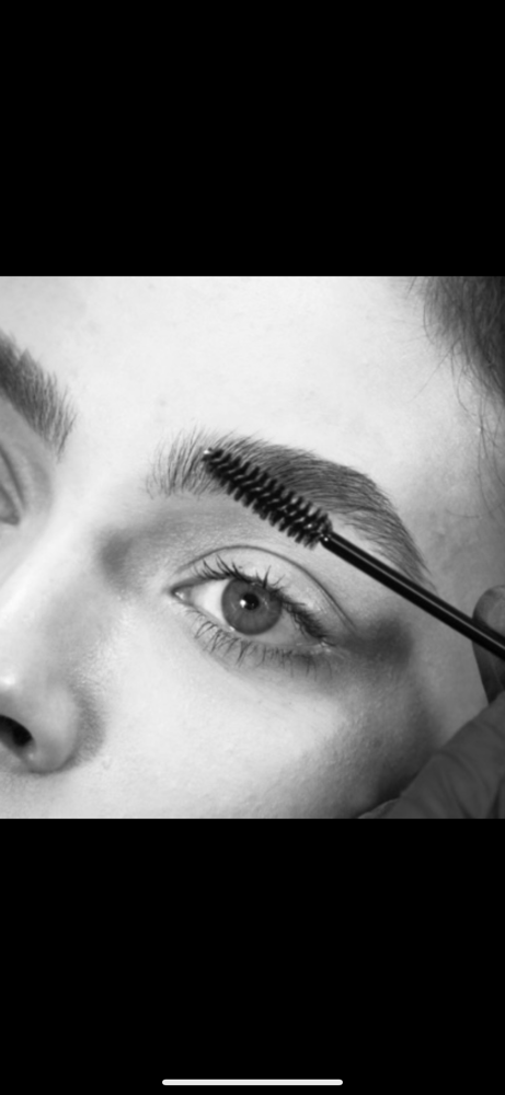 Brow Maintenence (Current Clients)