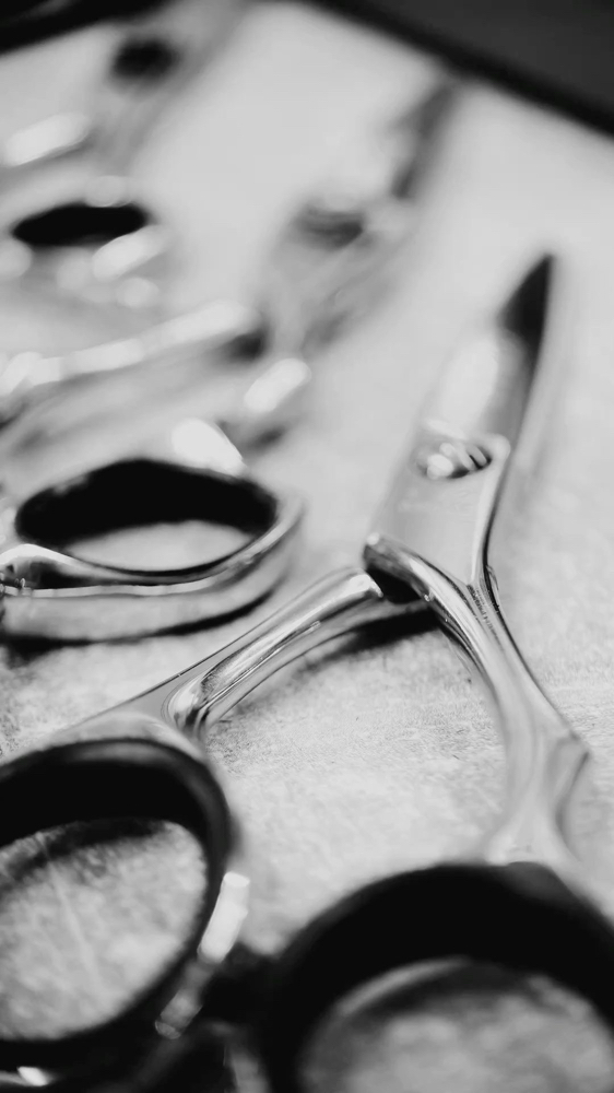 Women's Haircut at Ash + Ember Hair Haus in Leander, TX