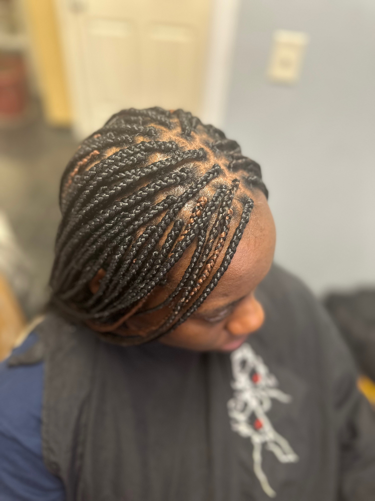 Box Braids/med/small