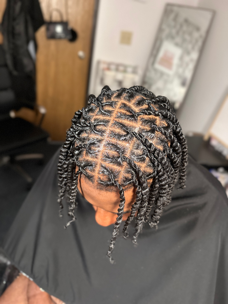 Two Strand Twist *loc look a like