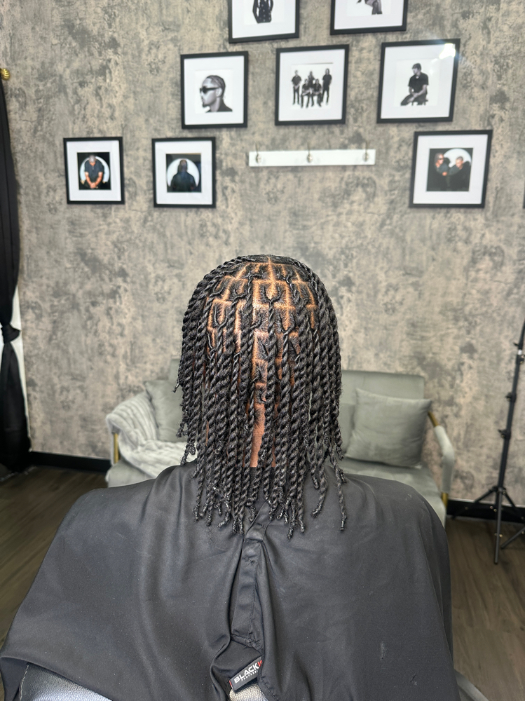 Two Strand Twist *loc look a like