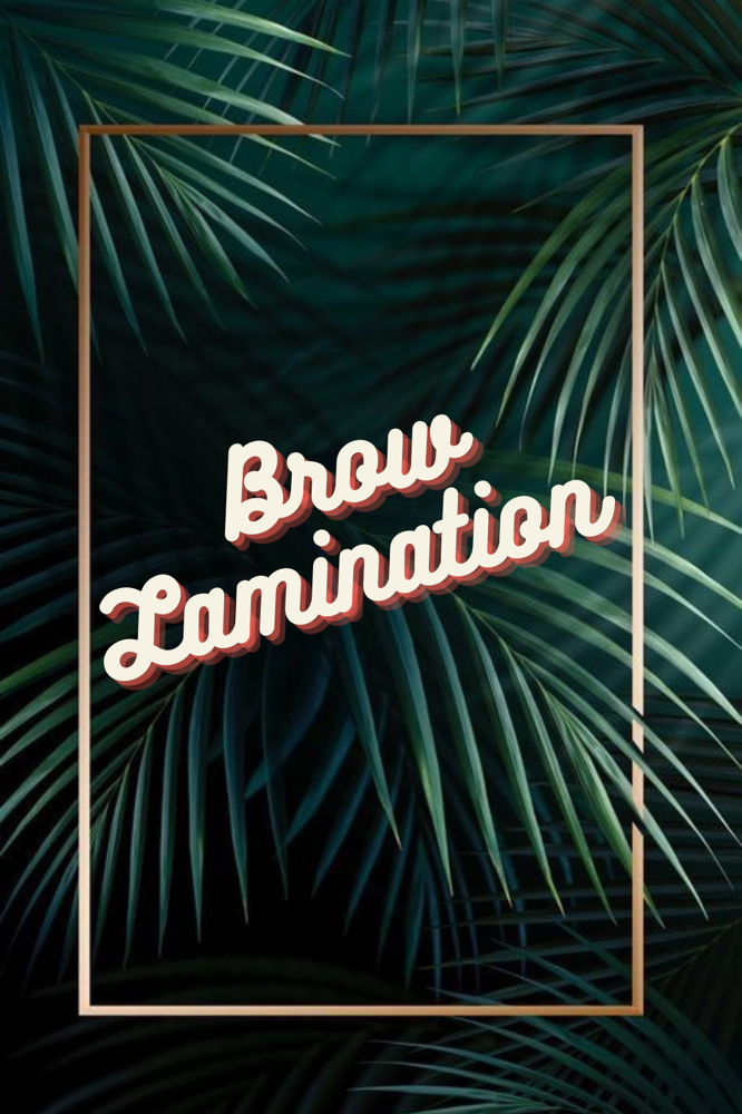 Brow Lamination