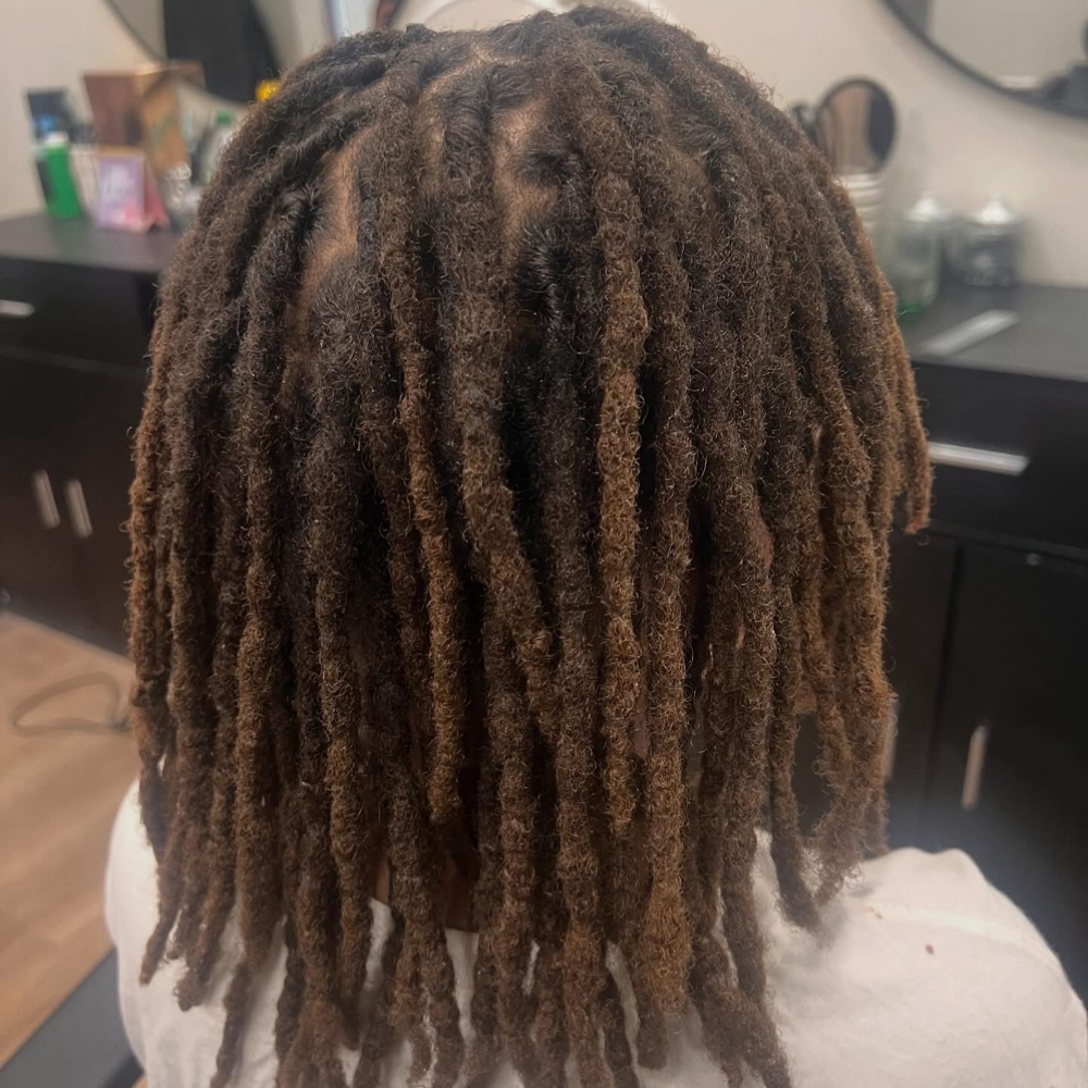 Retwist at Belia Beauty Studio in Buffalo, NY