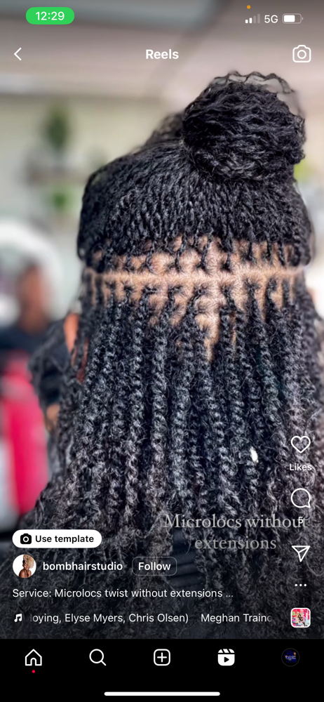 MicroLocs Twist/Braid w/Ext 18”