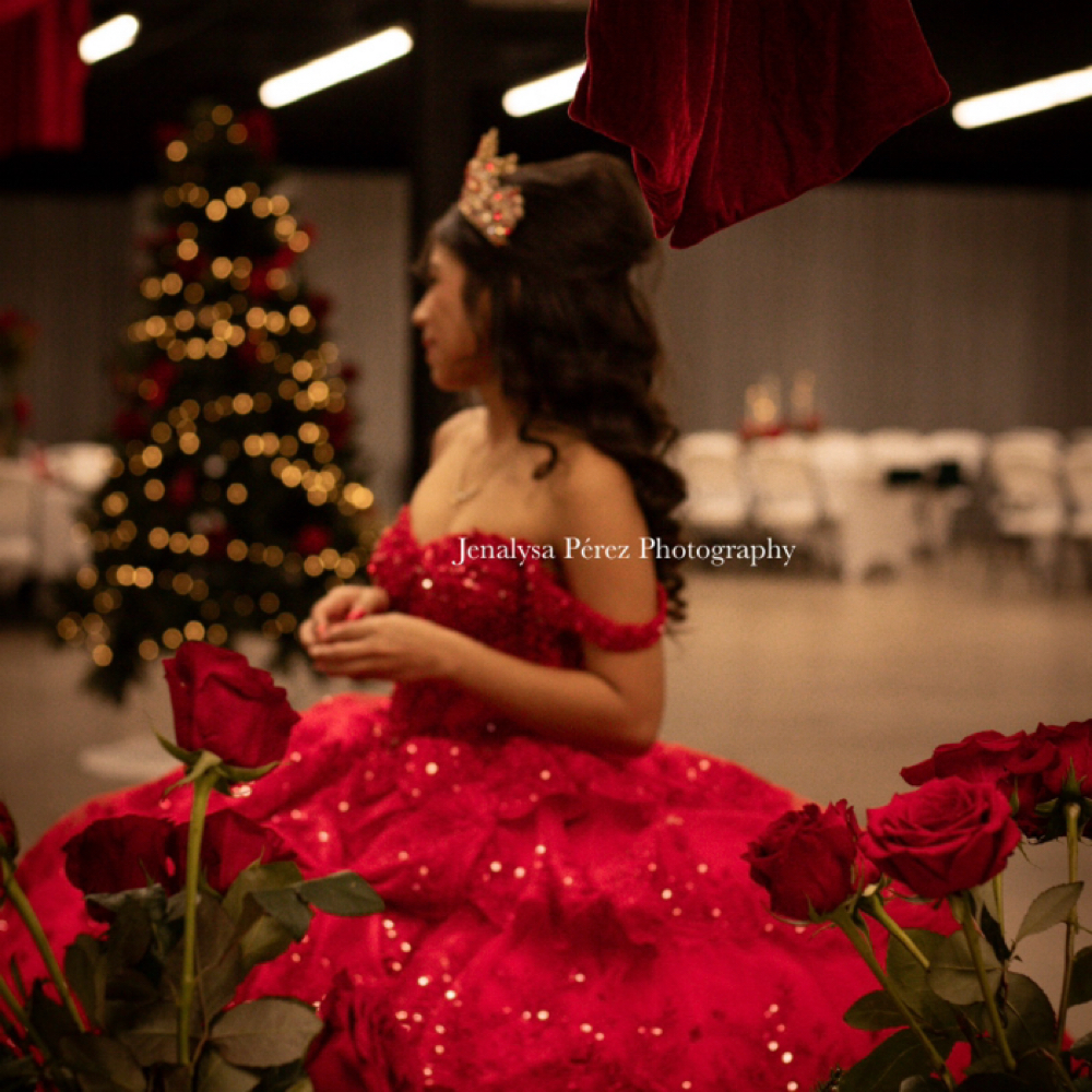 Quinceañera Photos at Jenalysa in Odessa, TX