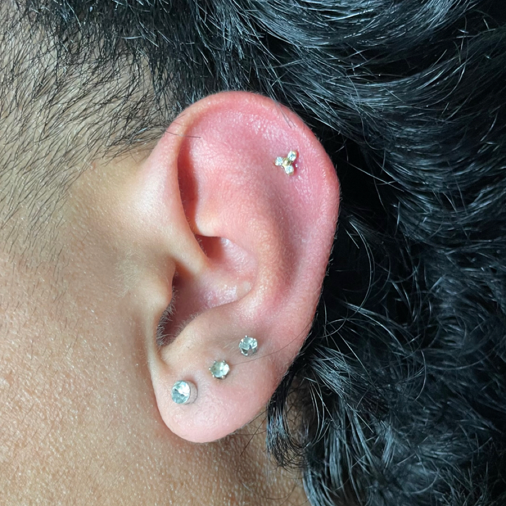 Flat at Calico Creek Tattoo Co. in Wichita, KS