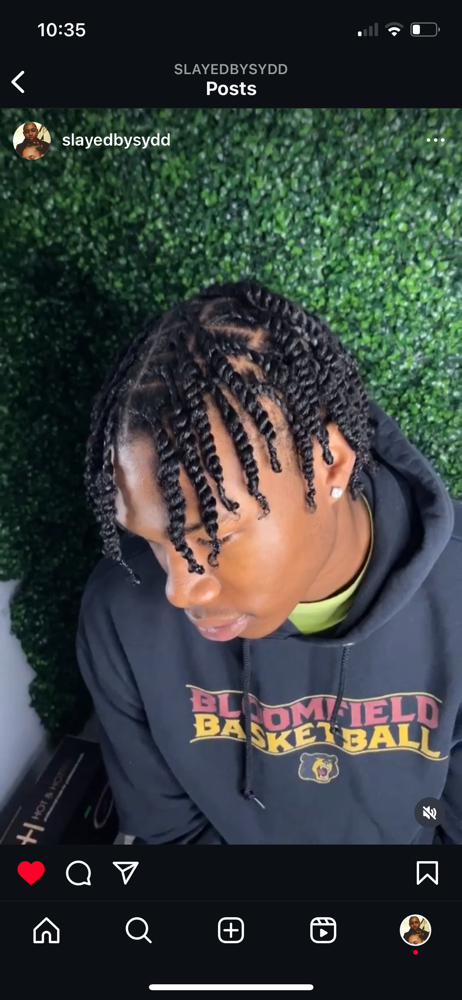 Twists (no Added Hair)
