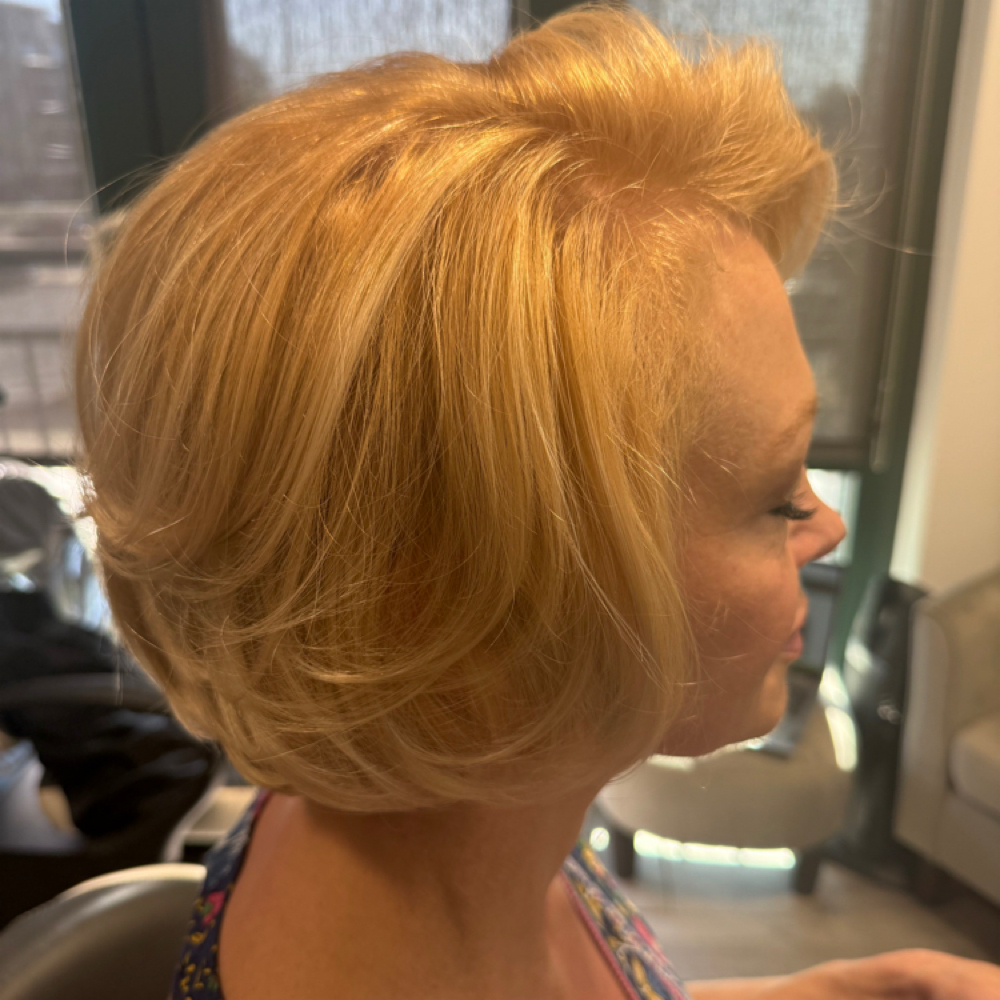 Shampoo & Blowout at JL Hair Studio in Davidson, NC