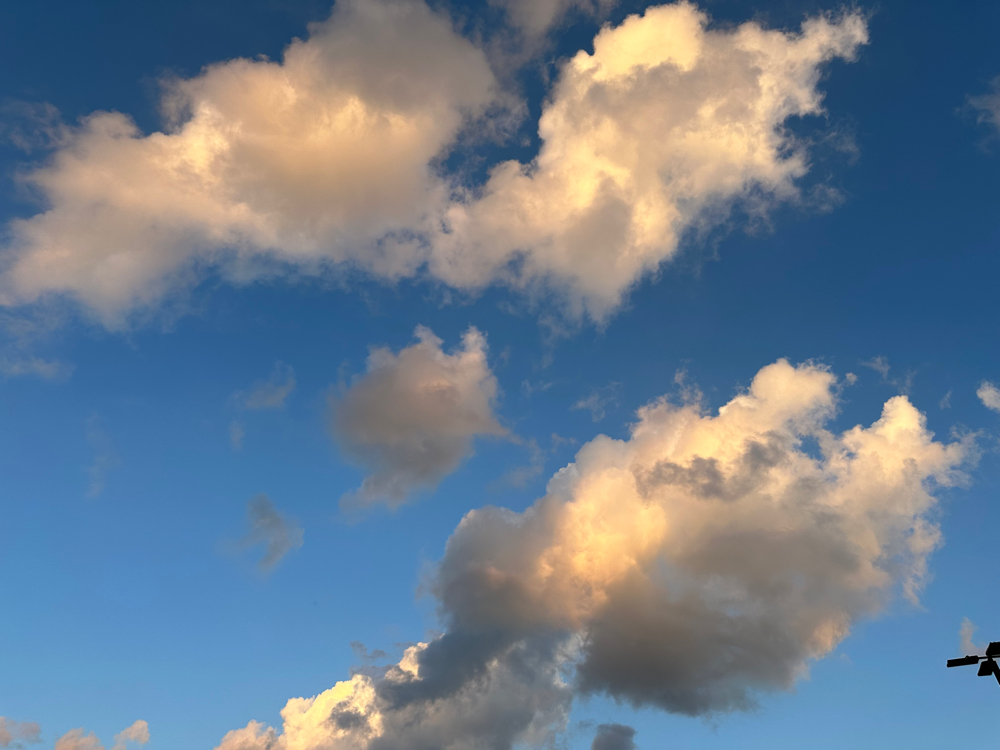 Before/ After Hours Fee