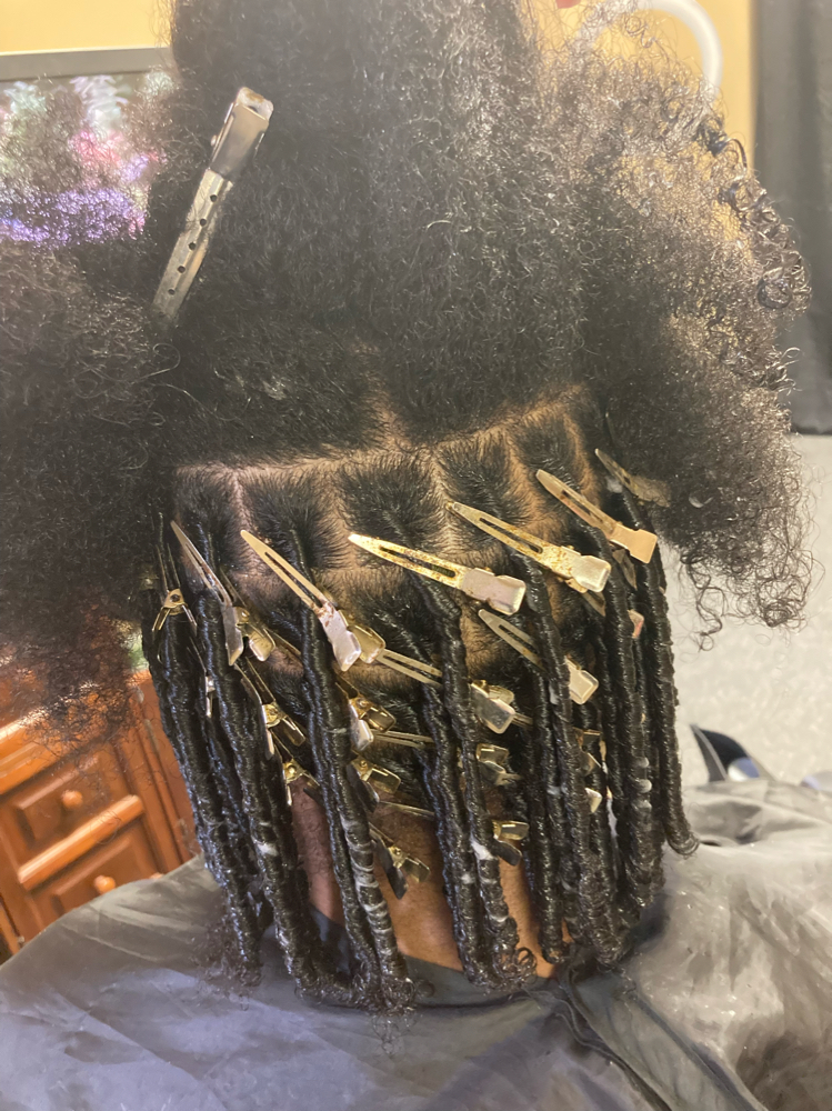 Starter Locs
