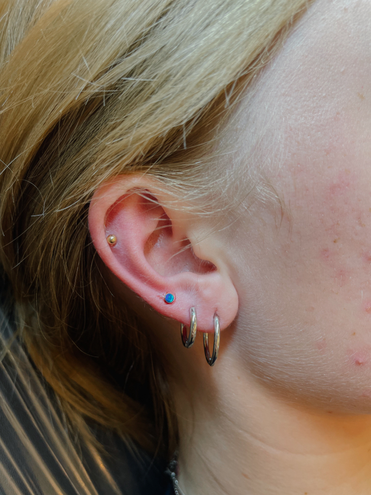 Lobe at Pierced in Phases in Bountiful, UT