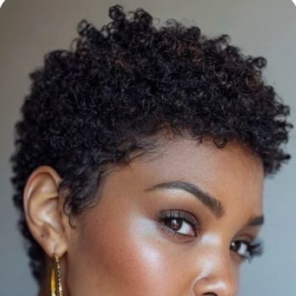 Wash N’ Go (For Natural Hair Only) at Shear Diva Artistry Salon Studio in Dallas, TX