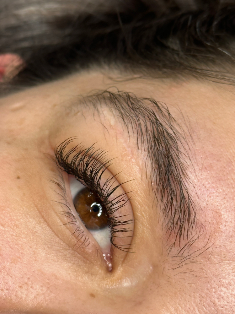 Classic Lashes