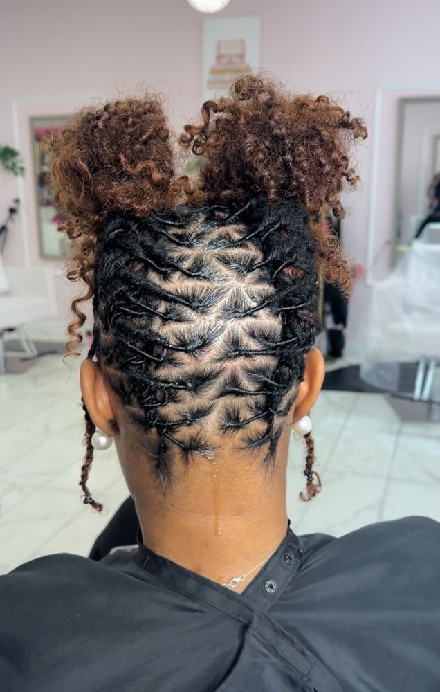 Small- Two Strand Starter Locs