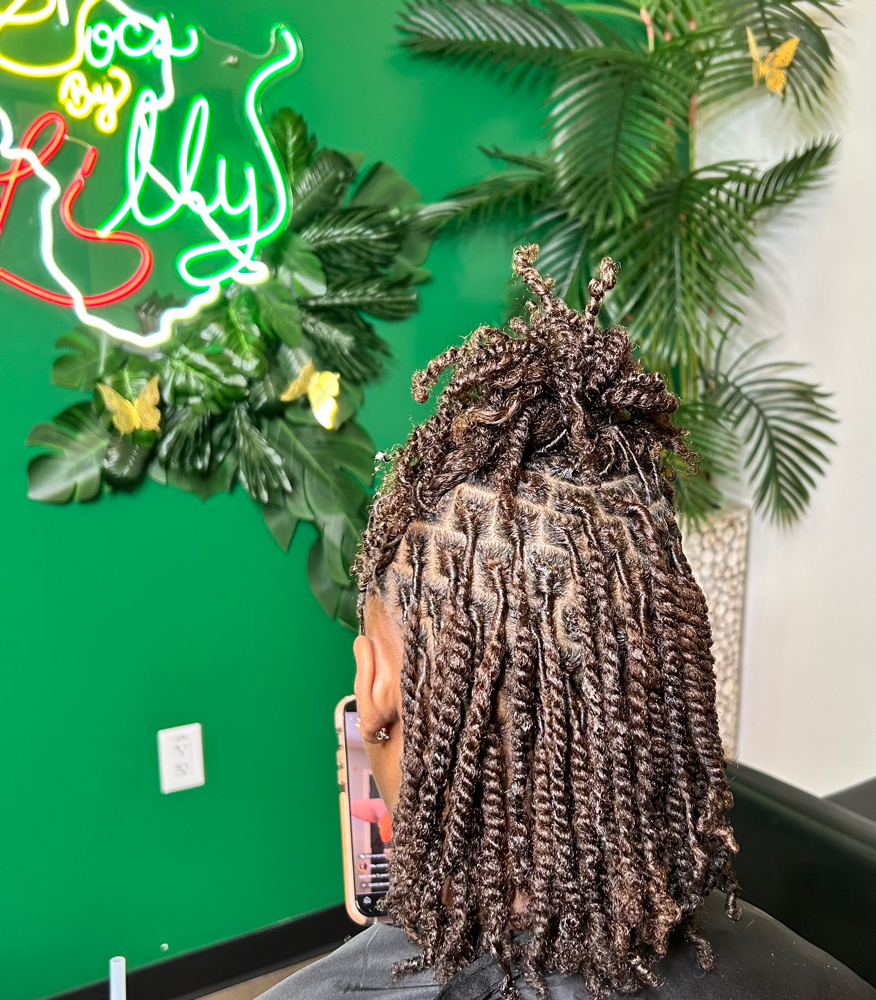 Small- Two Strand Starter Locs