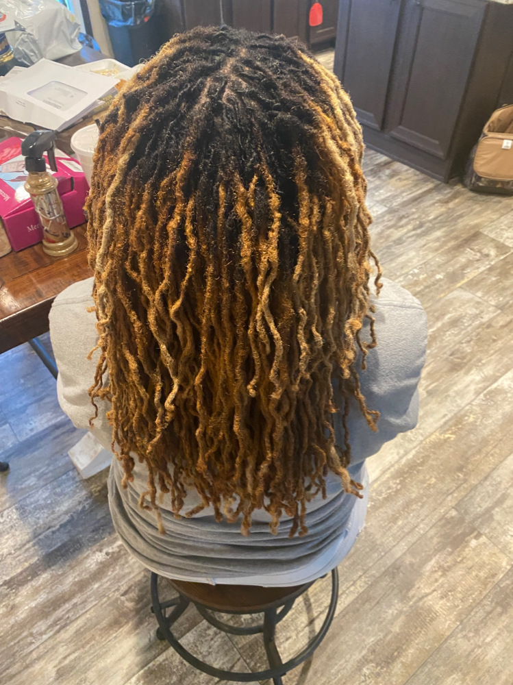 Loc Color Retouch, Retwist, Style