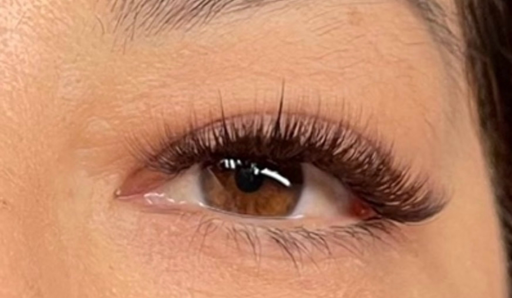 Brown Hybrid Wisp🤎