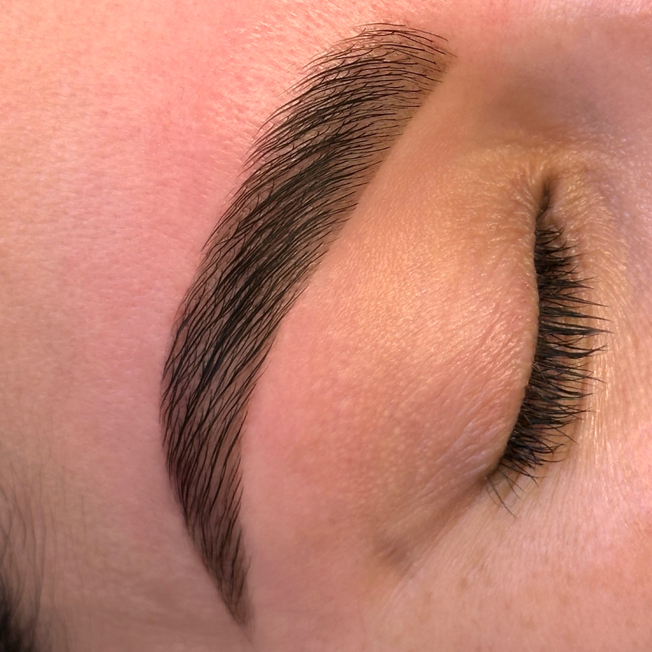 Brow Tint at Carly Artistry in Addison, TX