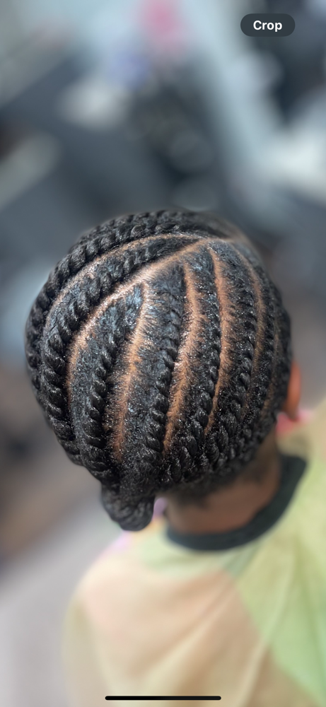 Flat Twist /braiding Style