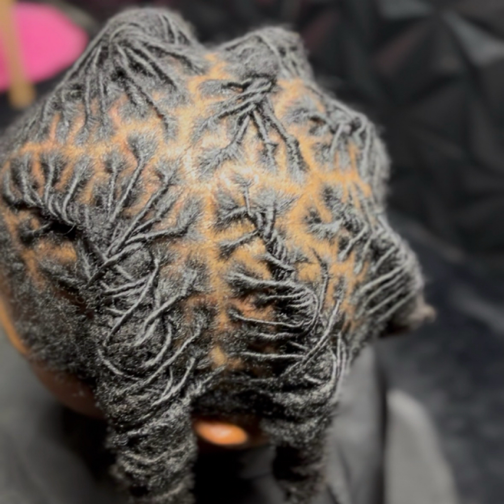 Loc Style ONLY at Zayziee Stylesss in Milwaukee, WI