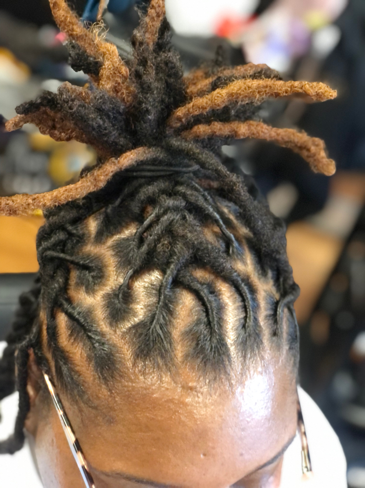 Loc Retwist