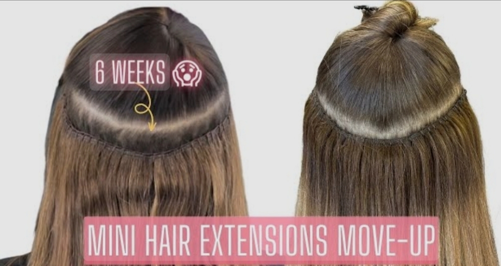 Hairextensions Weft  Move Up