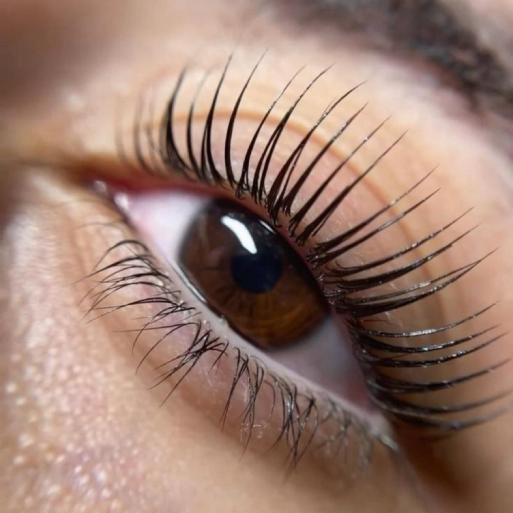 Korean Lash Lift at Refined Beauty Co in Sparta, TN