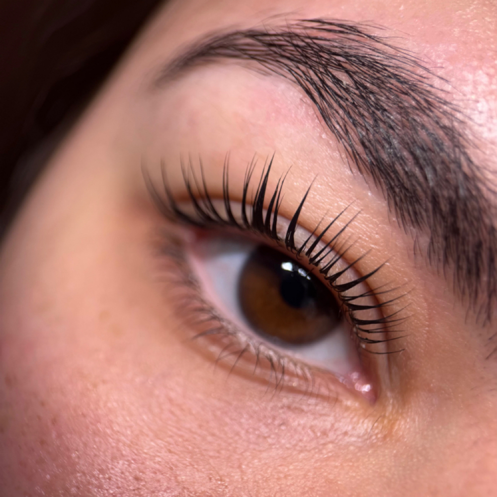 LASH LIFT & TINT at lashluxenm in brooklyn, NY