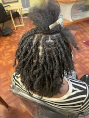 Interloc Starter Locs