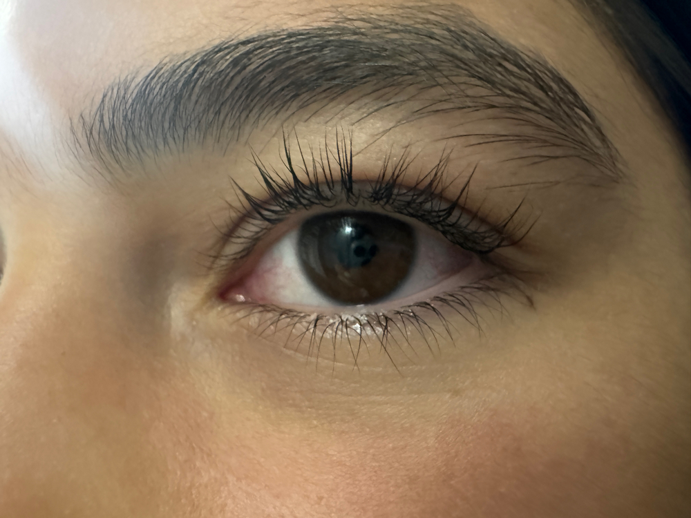 Lash Or Brow Tint
