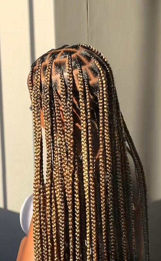 Medium Box Braids at Anointed Hands in Southaven, MS