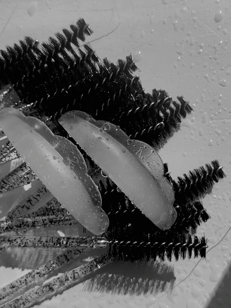 Lash Lift + Brow Lamination