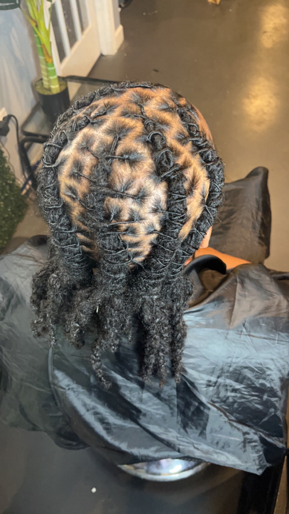 Loc Braid Style
