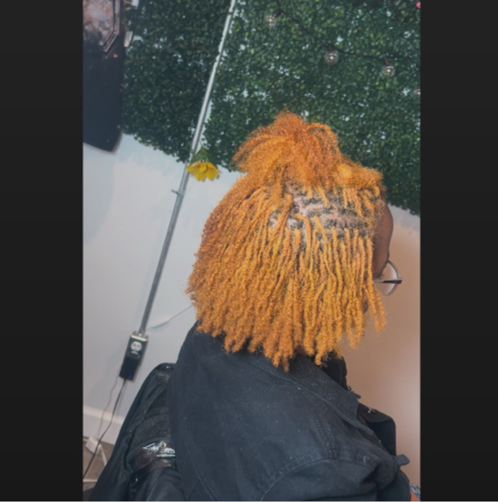 Micro/Sister Loc Retie