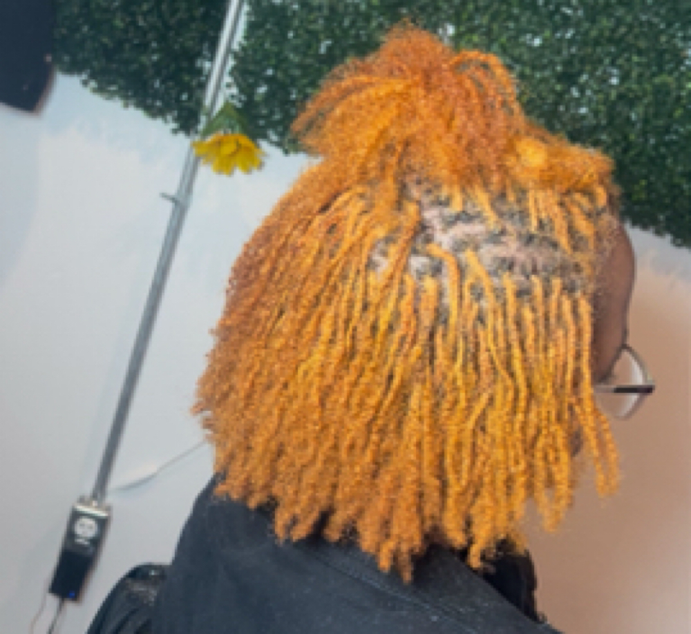 Micro/Sister Loc Retie at Dolledbythebratt in Fairborn, OH