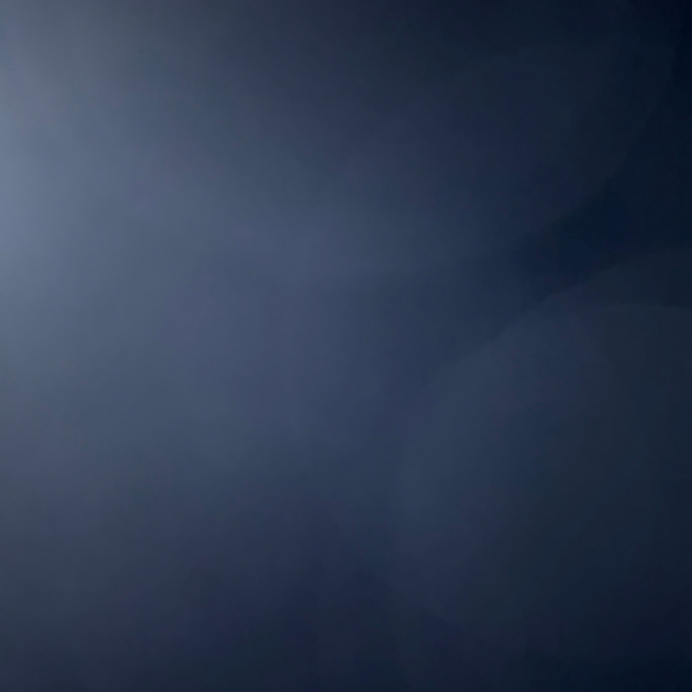 Brow Trim Only at THE ESTHETIC STANDARD in La Jolla, CA