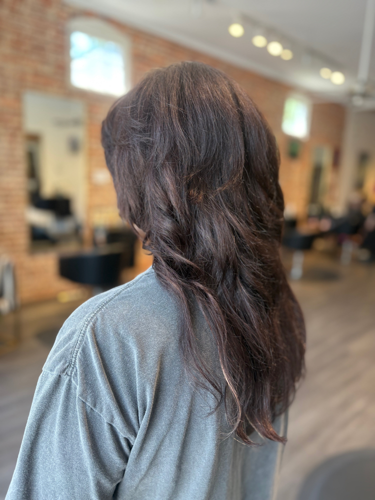 Express Haircut W/ Sol