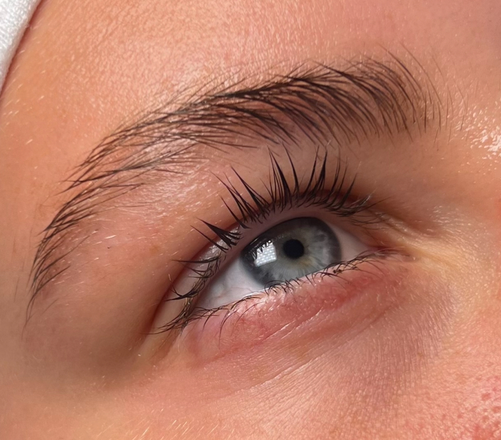 Brow Tint & Wax Combo
