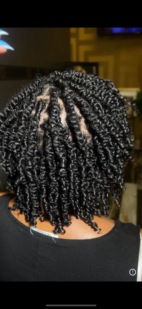 Natural Hair Care Treatment