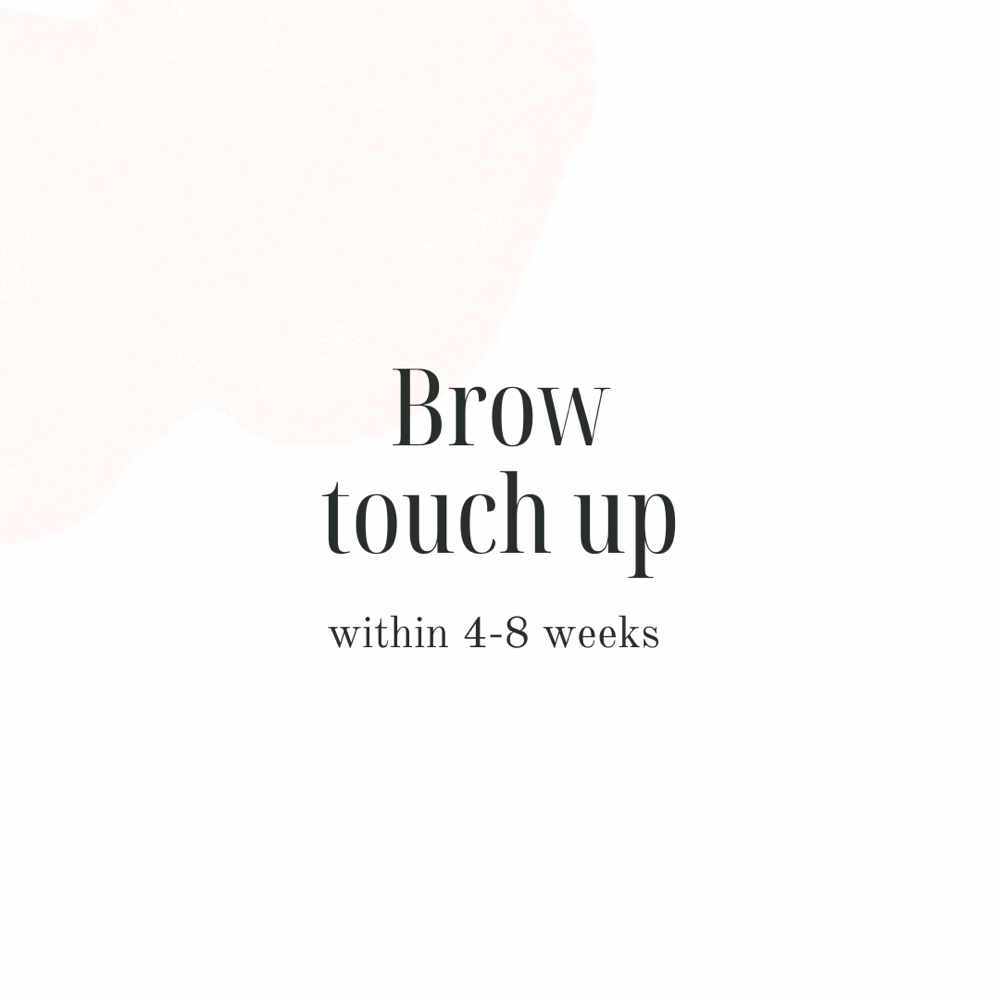 Brow Touch-Up (4-8 weeks)