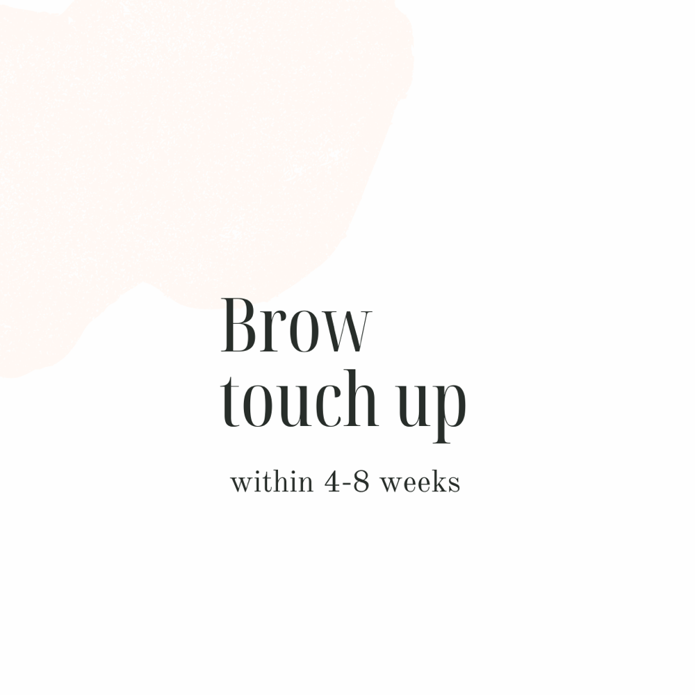 Brow Touch-Up (4-8 weeks)