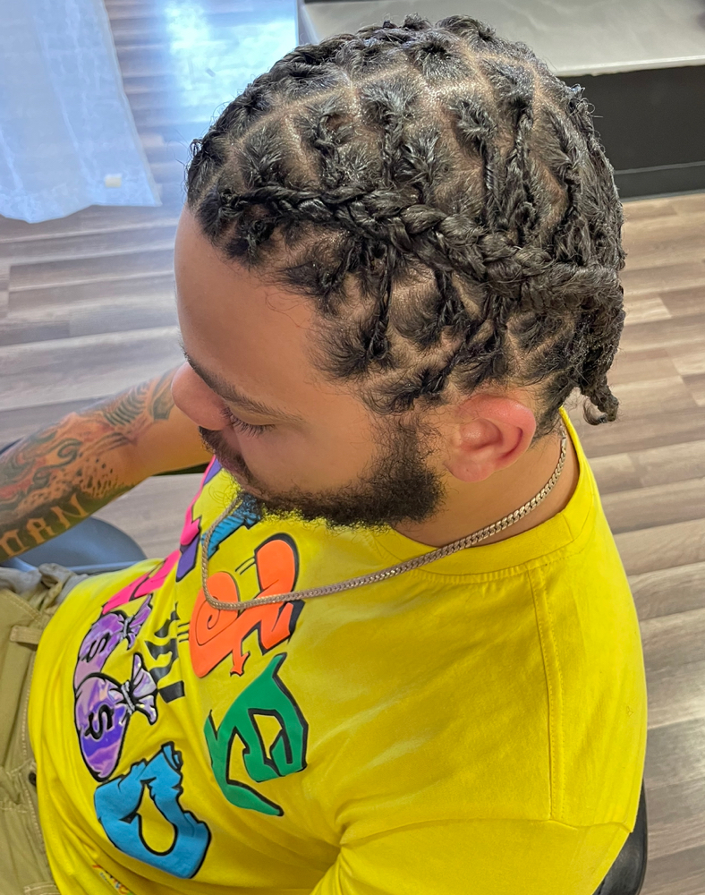 Starter Locs
