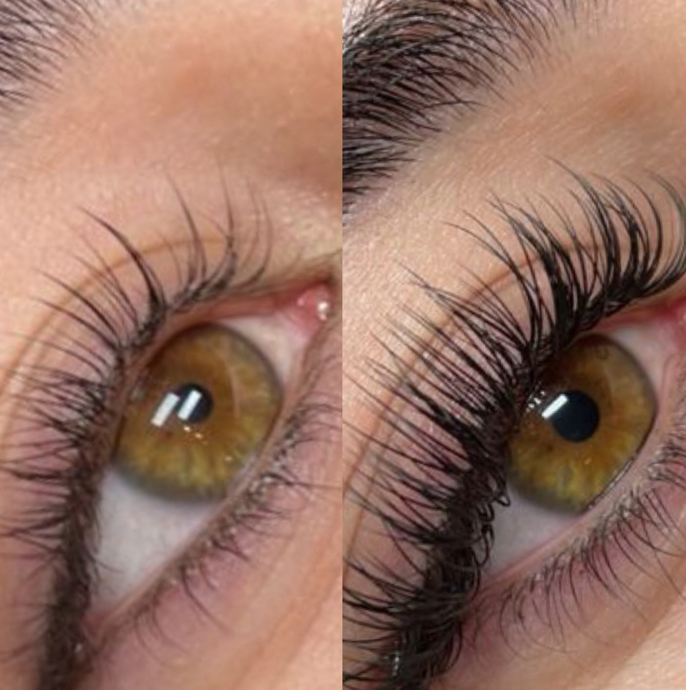 Regular Classic Fill