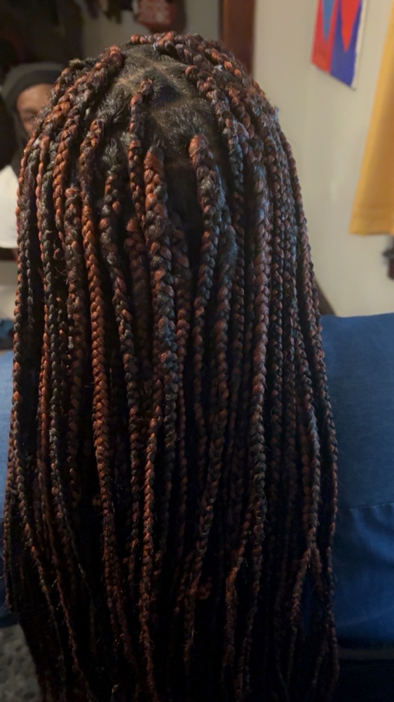 Box  Braids W/ Hair at Moèt’s Touch in Scotia, NY
