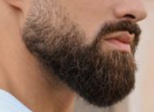 Beard Trim