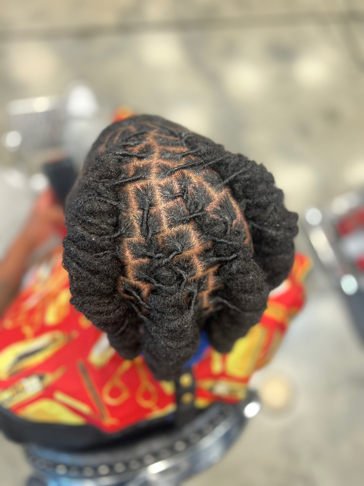 Loc Wash, Retwist, & Simple Style