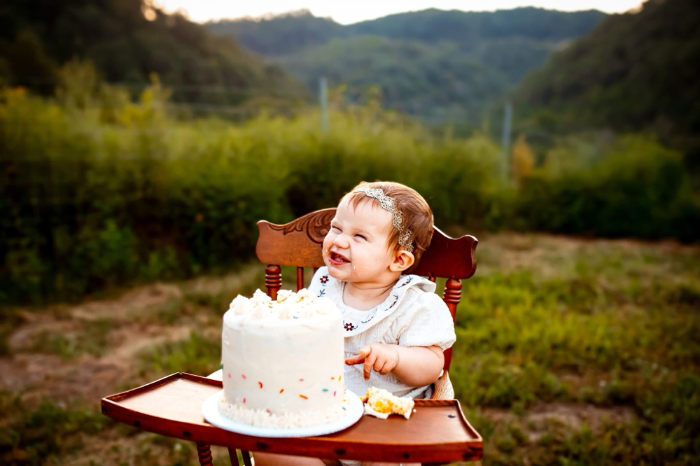 Outside Only Cake Smashes at Sunshine Studios by Traci Browning in Hanover, WV