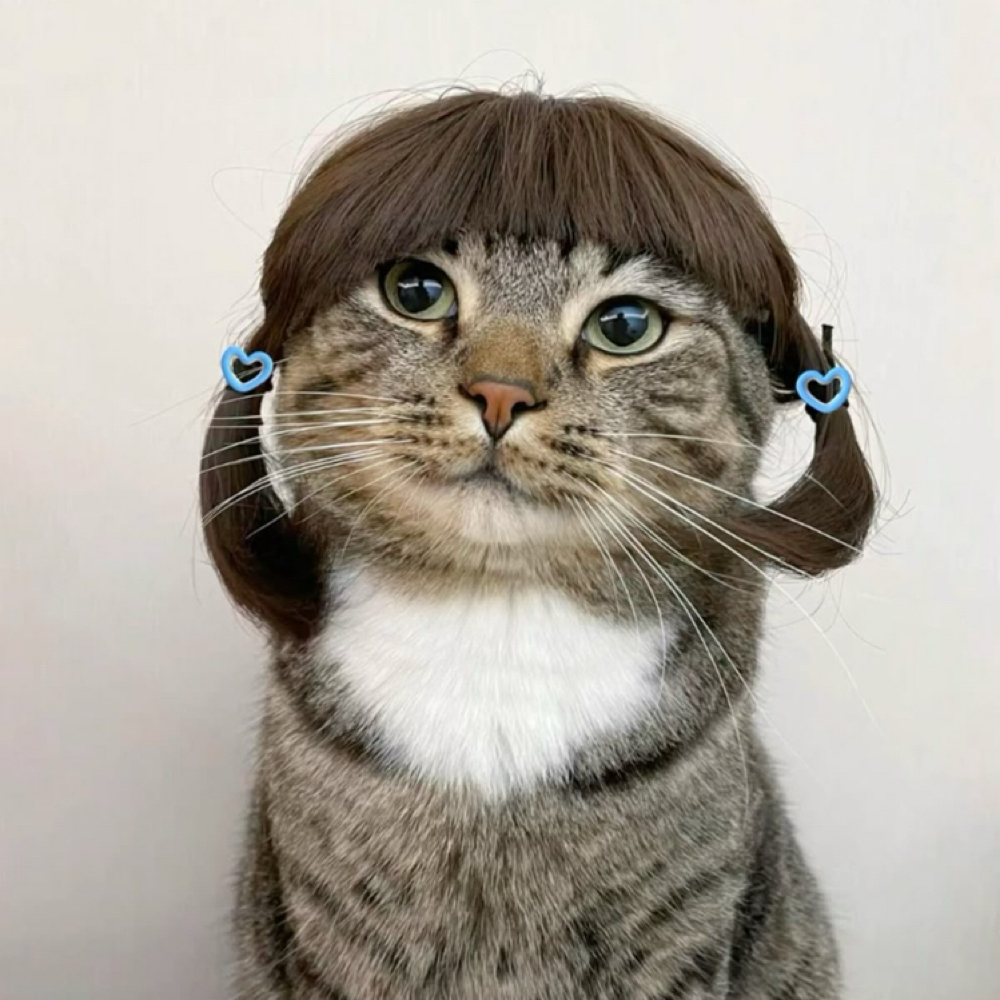 BANG TRIM at theonlygracetoeverexist in Dallas, TX